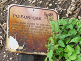 Poison oak sign